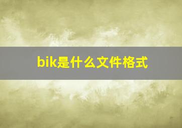 bik是什么文件格式