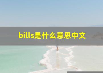 bills是什么意思中文