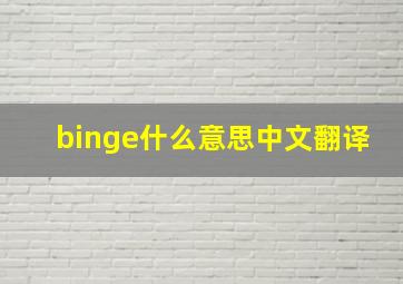 binge什么意思中文翻译