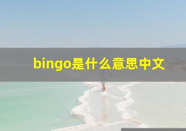 bingo是什么意思中文