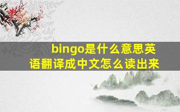 bingo是什么意思英语翻译成中文怎么读出来