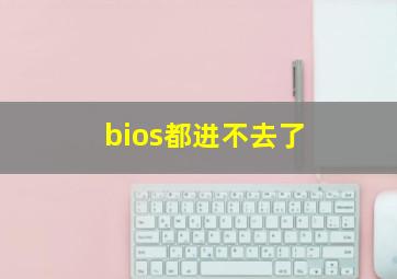 bios都进不去了