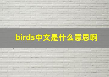 birds中文是什么意思啊