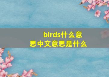 birds什么意思中文意思是什么