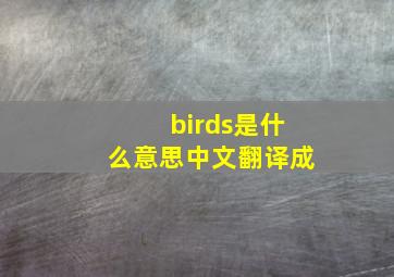 birds是什么意思中文翻译成