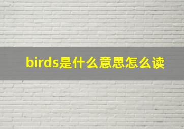 birds是什么意思怎么读