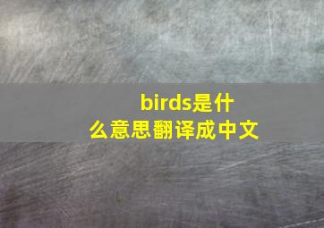 birds是什么意思翻译成中文