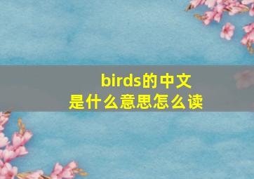 birds的中文是什么意思怎么读