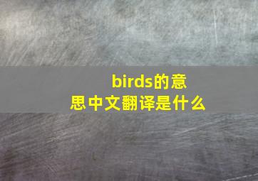 birds的意思中文翻译是什么