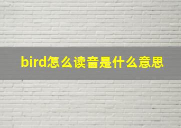 bird怎么读音是什么意思