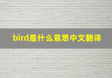 bird是什么意思中文翻译