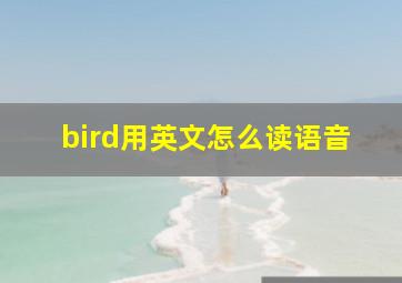 bird用英文怎么读语音