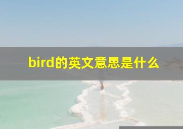 bird的英文意思是什么