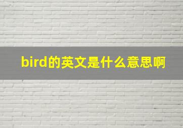 bird的英文是什么意思啊