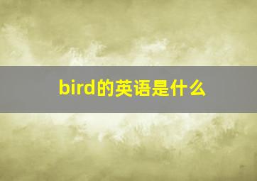 bird的英语是什么