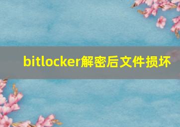 bitlocker解密后文件损坏