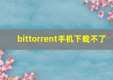 bittorrent手机下载不了