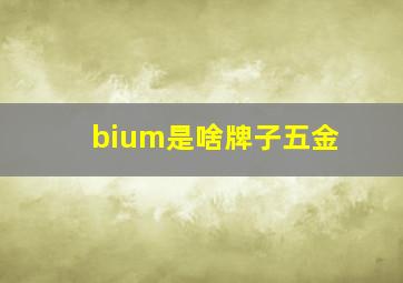 bium是啥牌子五金