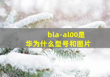 bla-al00是华为什么型号和图片