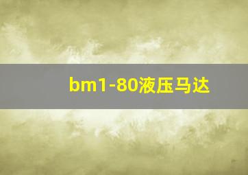 bm1-80液压马达