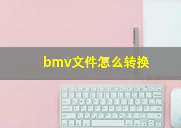 bmv文件怎么转换