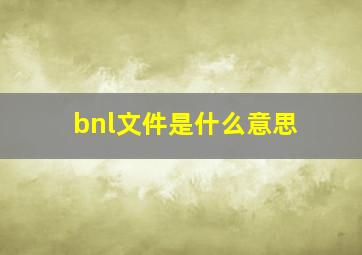 bnl文件是什么意思