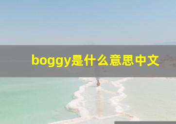 boggy是什么意思中文