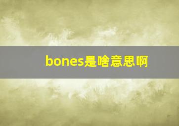 bones是啥意思啊