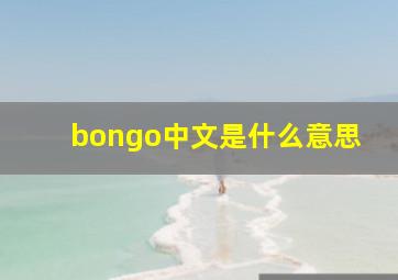 bongo中文是什么意思