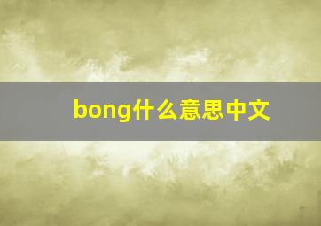 bong什么意思中文