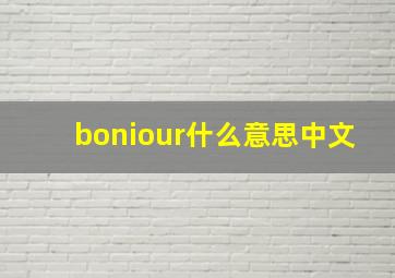 boniour什么意思中文