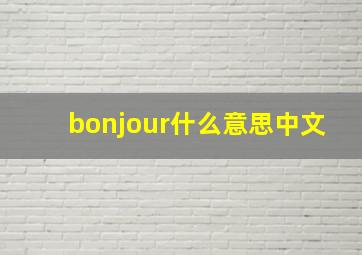 bonjour什么意思中文