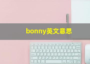 bonny英文意思