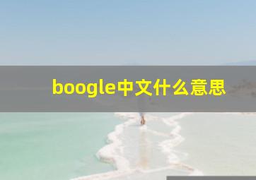 boogle中文什么意思