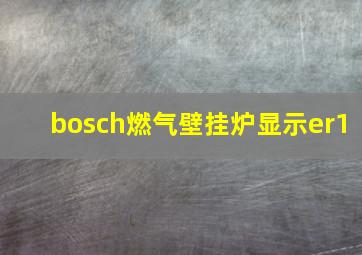 bosch燃气壁挂炉显示er1