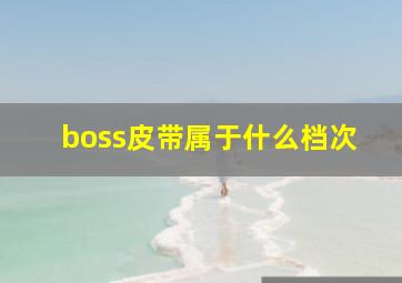 boss皮带属于什么档次