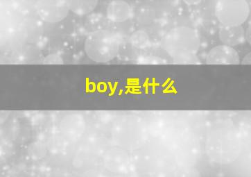 boy,是什么