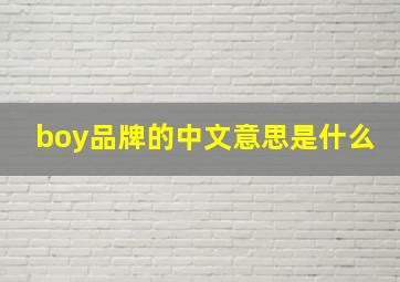 boy品牌的中文意思是什么