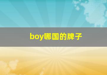 boy哪国的牌子