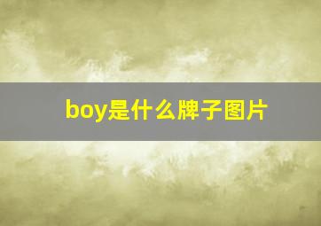 boy是什么牌子图片