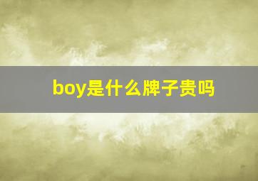 boy是什么牌子贵吗