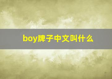 boy牌子中文叫什么