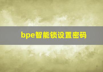 bpe智能锁设置密码