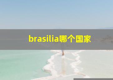 brasilia哪个国家