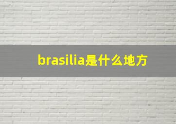 brasilia是什么地方