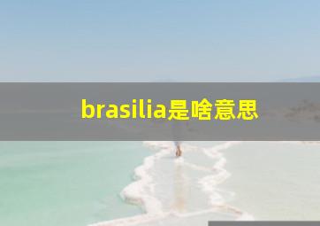 brasilia是啥意思