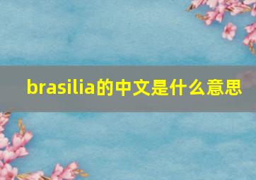 brasilia的中文是什么意思