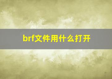 brf文件用什么打开