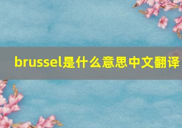 brussel是什么意思中文翻译