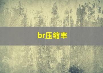 br压缩率